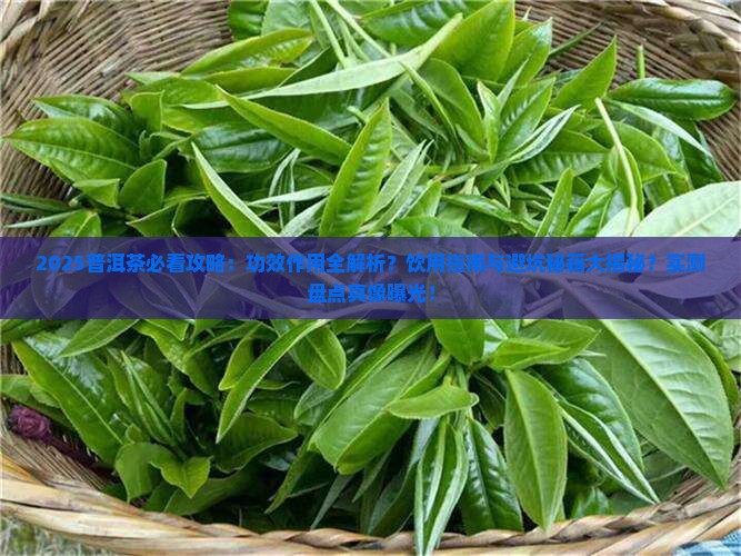 普洱茶的功效与作用有哪些