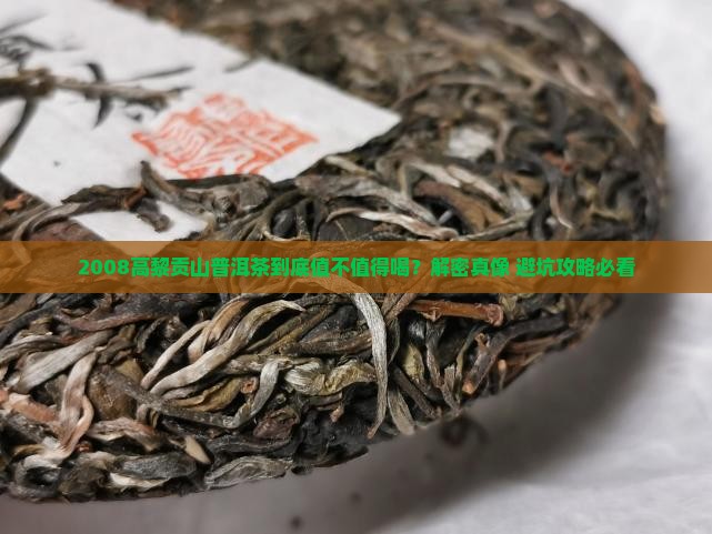 高黎贡山普洱茶2008