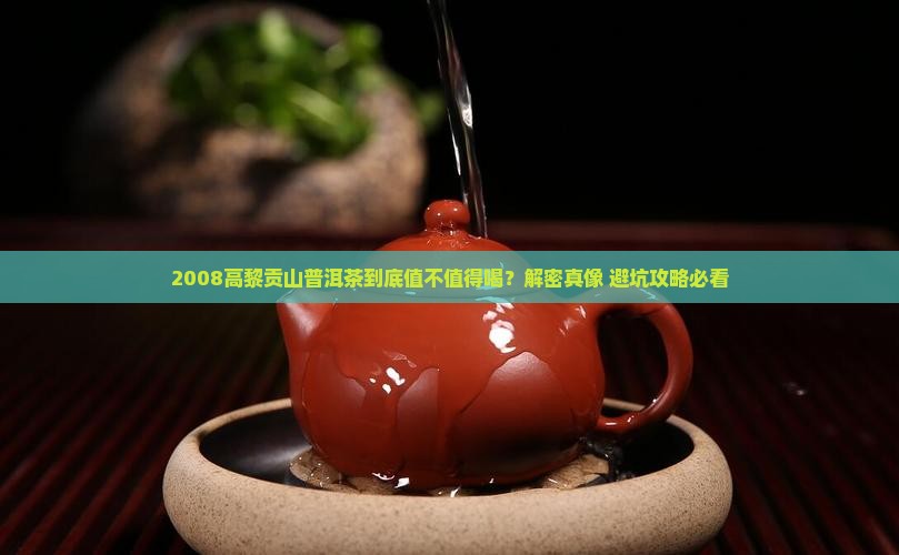 高黎贡山普洱茶2008