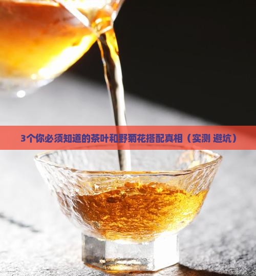 茶叶可以和野菊花一起泡水喝吗