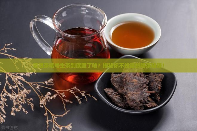 普洱茶唛号生茶