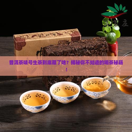 普洱茶唛号生茶
