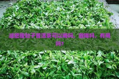 减肥瘦肚子普洱茶