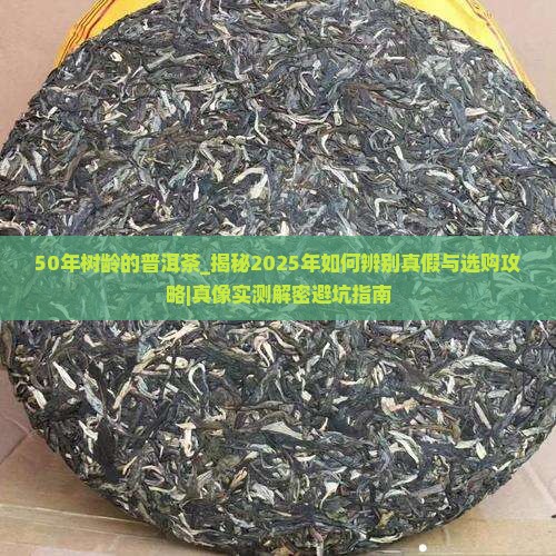 50年树龄的普洱茶