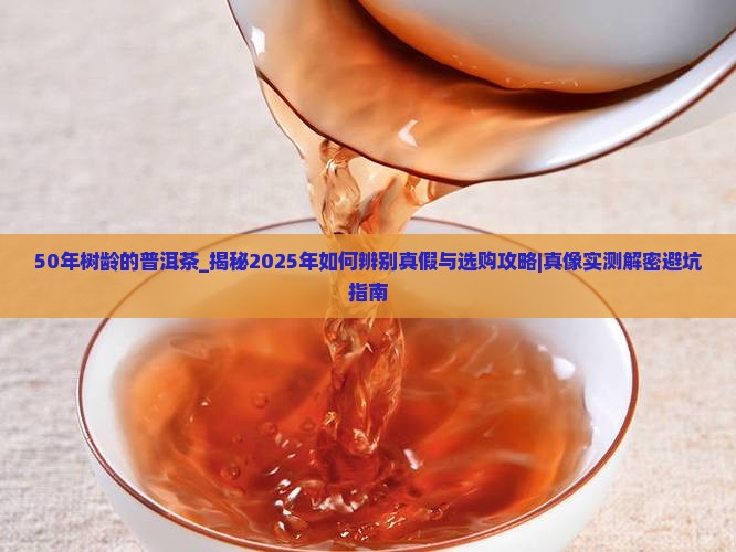 50年树龄的普洱茶