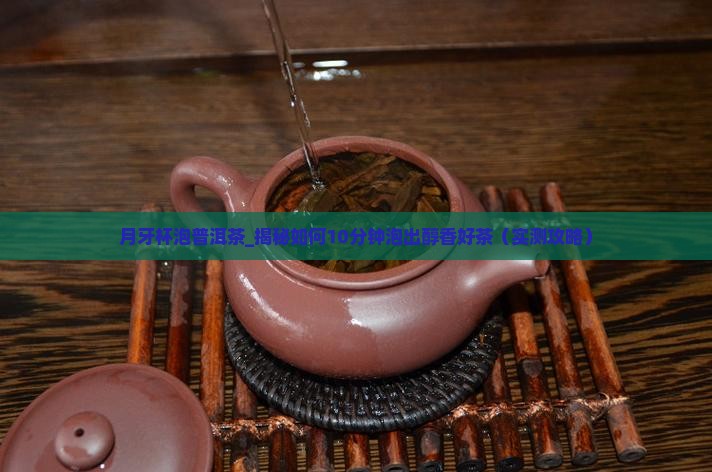 月牙杯泡普洱茶