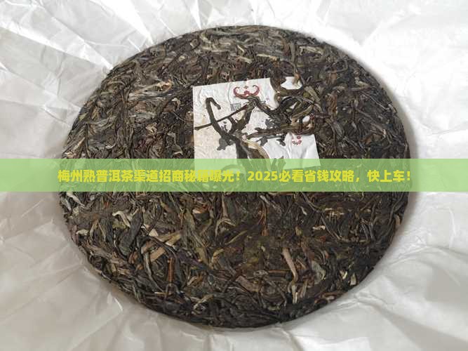 梅州熟普洱茶渠道招商