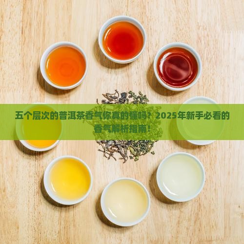五个层次的普洱茶香气