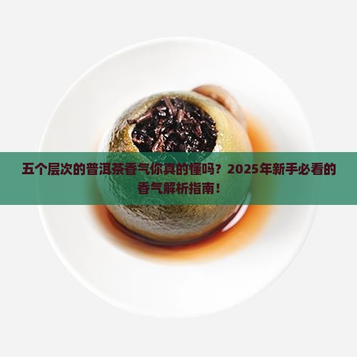 五个层次的普洱茶香气