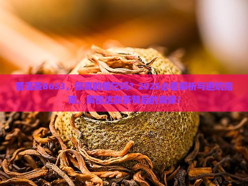 普洱茶8653资料