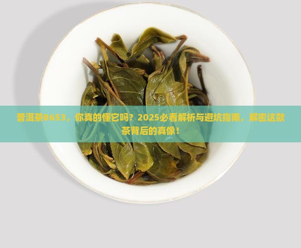 普洱茶8653资料