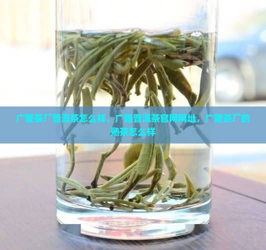 广隆茶厂普洱茶怎么样