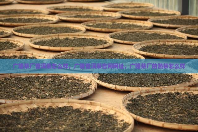 广隆茶厂普洱茶怎么样