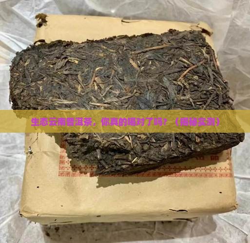 生态云南普洱茶