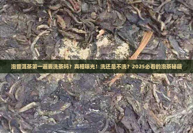 泡普洱茶第一遍要洗茶吗