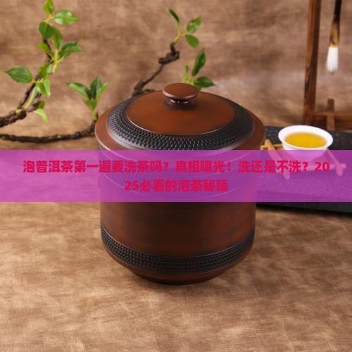 泡普洱茶第一遍要洗茶吗