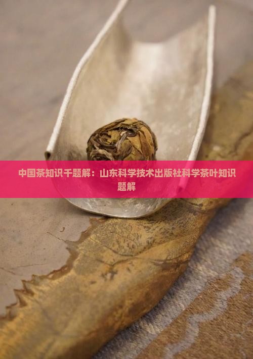 中国茶知识千题解