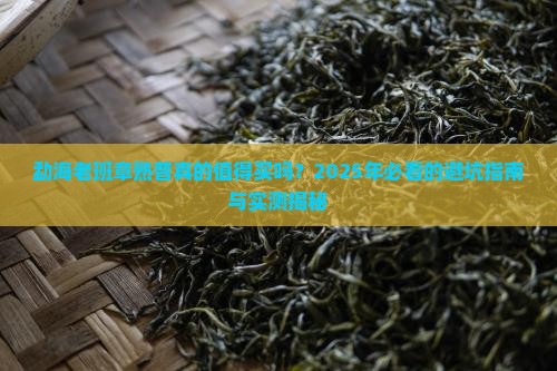 勐海老班章熟普好不好