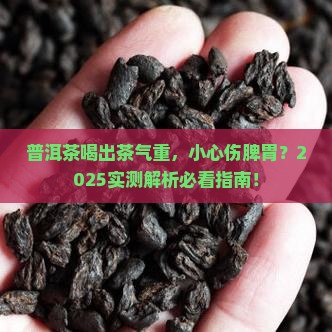 茶气重的普洱茶会否伤脾胃