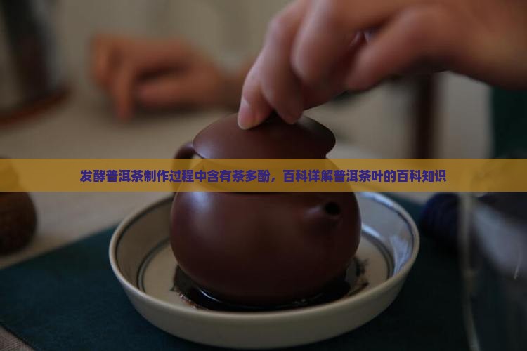发酵普洱茶含茶多酚吗百度百科