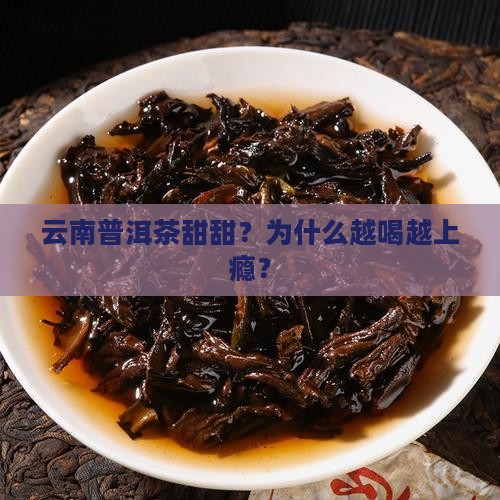 云南普洱茶甜甜