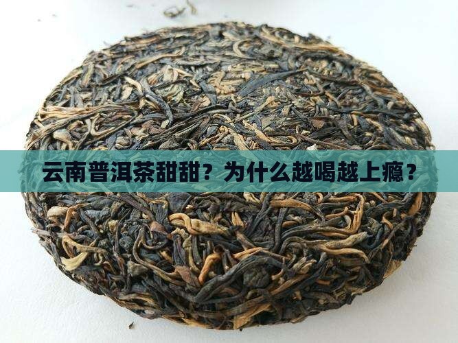 云南普洱茶甜甜