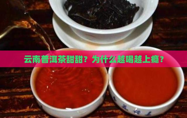 云南普洱茶甜甜