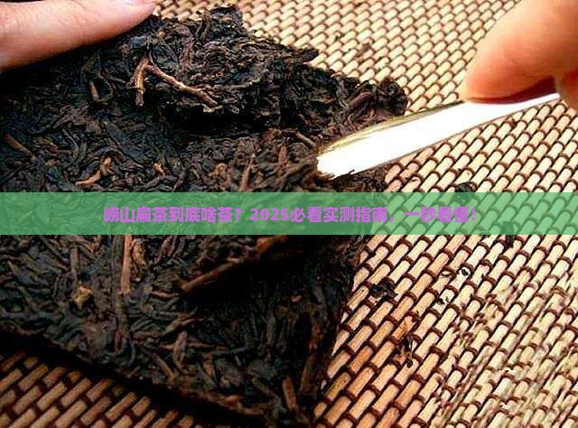 崂山扁茶属于什么茶