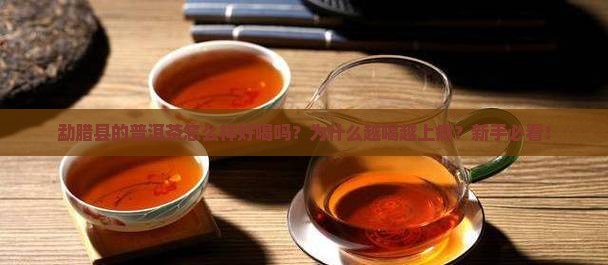 勐腊县的普洱茶怎么样好喝吗