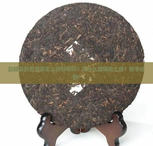 勐腊县的普洱茶怎么样好喝吗