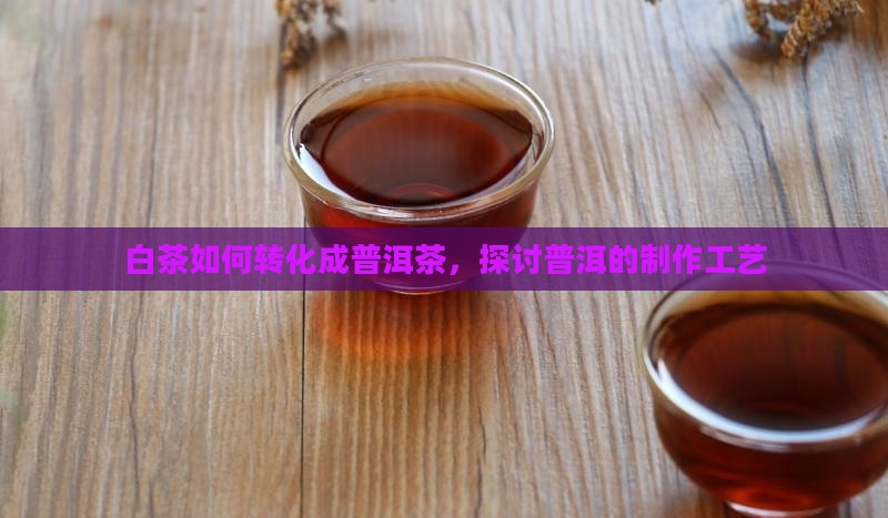 白茶能做成普洱茶吗