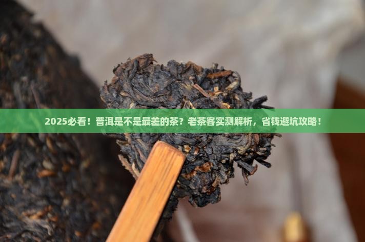 普洱是不是最差的茶