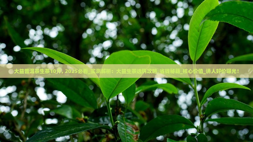 大益普洱茶生茶10斤