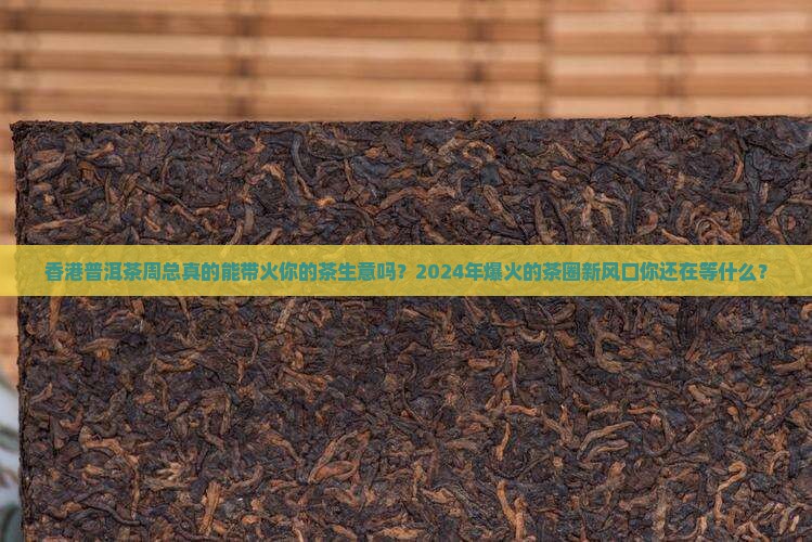 香港普洱茶周总