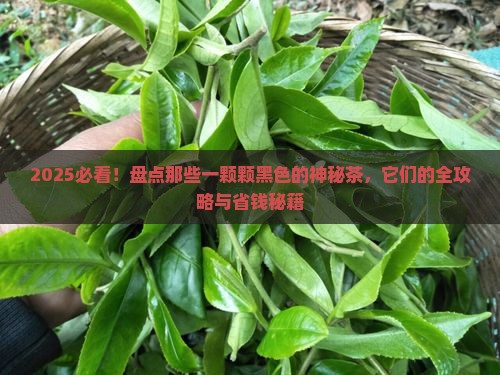什么茶是一颗一颗黑色的