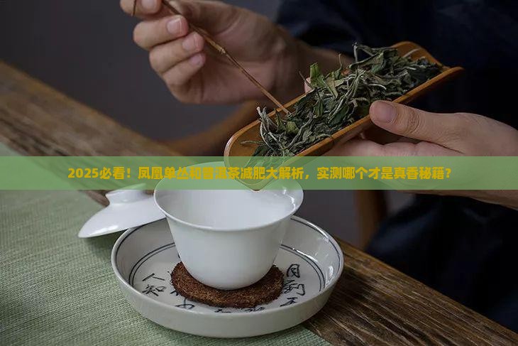 凤凰单枞和普洱茶哪个减肥