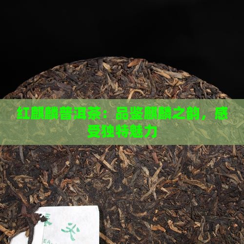红麒麟普洱茶怎么样