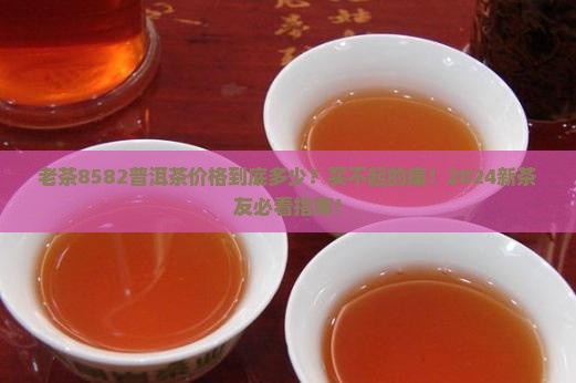 老茶8582普洱茶价格
