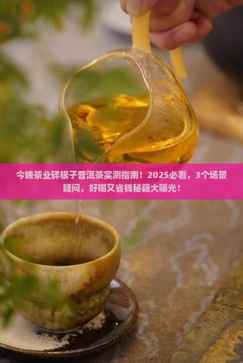 今曦茶业碎银子普洱茶