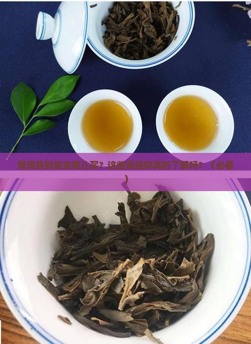 普洱茶的供应渠道有那些