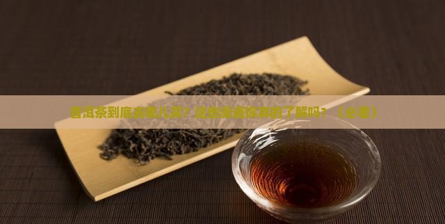 普洱茶的供应渠道有那些
