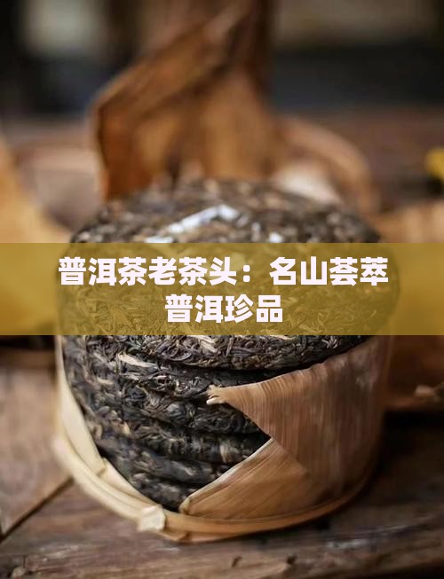 名山荟萃普洱茶老茶头