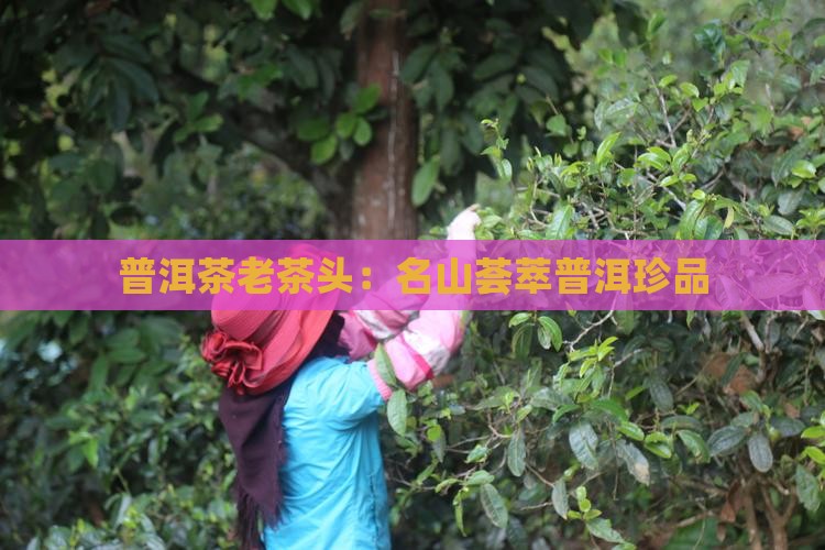 名山荟萃普洱茶老茶头