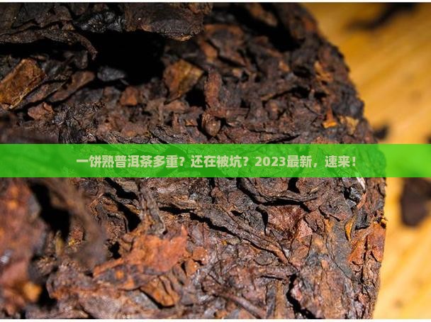 一饼熟普洱茶多重