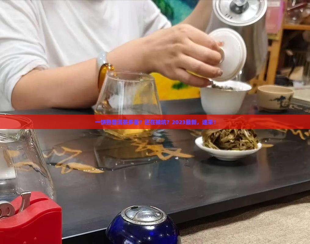 一饼熟普洱茶多重