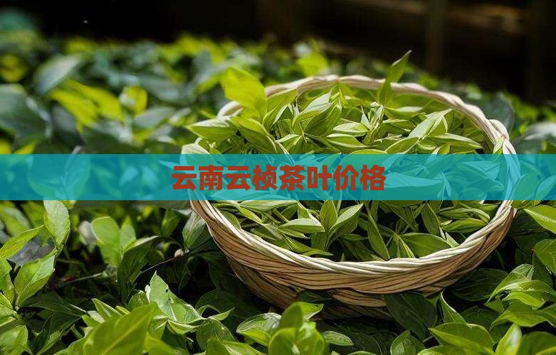 云南云桢茶叶价格