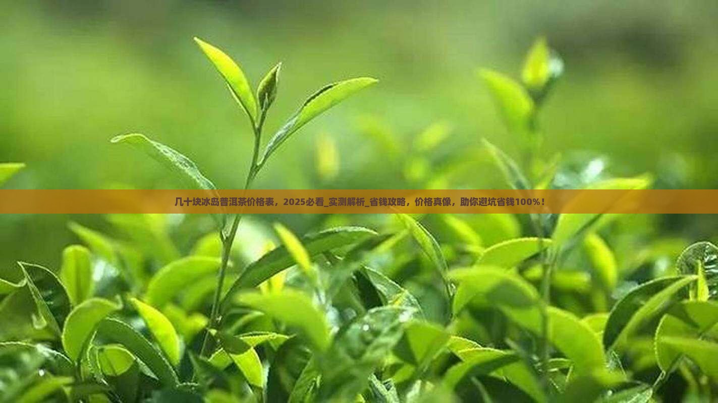 几十块冰岛普洱茶价格表