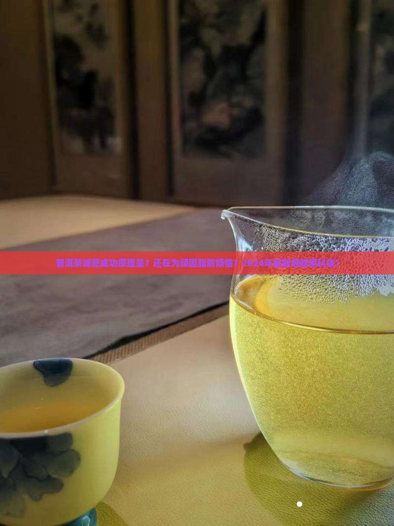 普洱茶减肥成功原理是