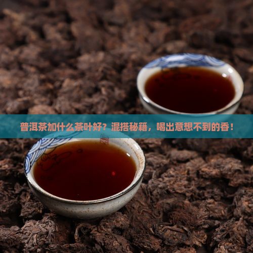 普洱茶加什么茶叶好