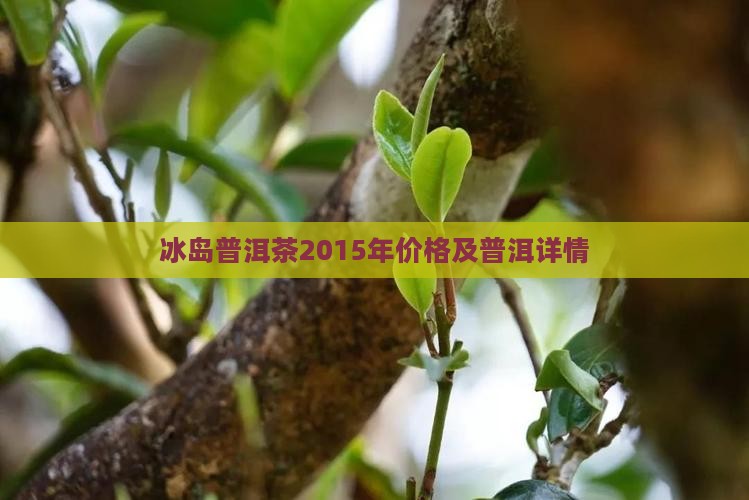 2015年云南冰岛普洱茶